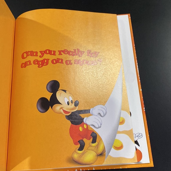 Mickey Wonders Why: Can You Really Fry an Egg on a Stone? - Hardcover Book - Picture 4 of 6